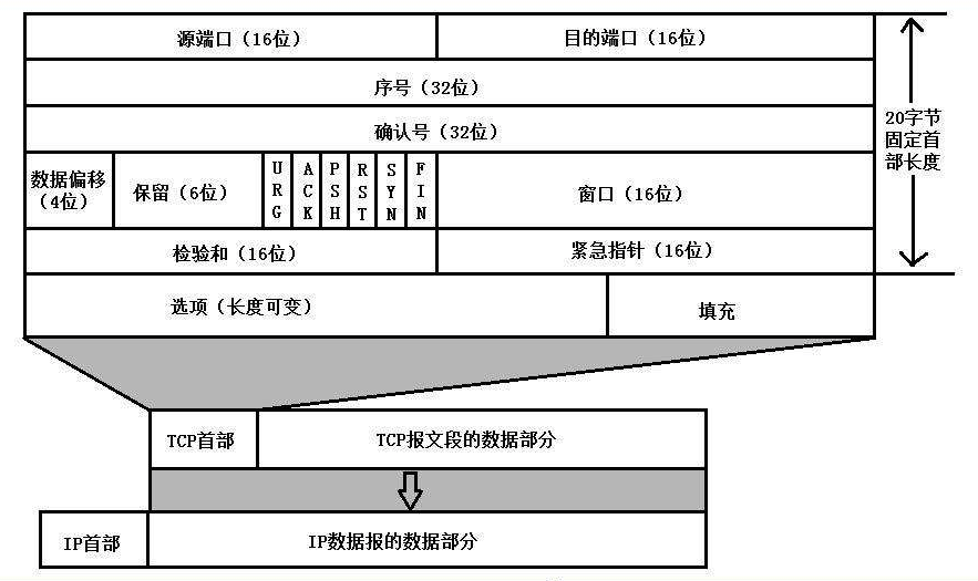 TCP 报文头